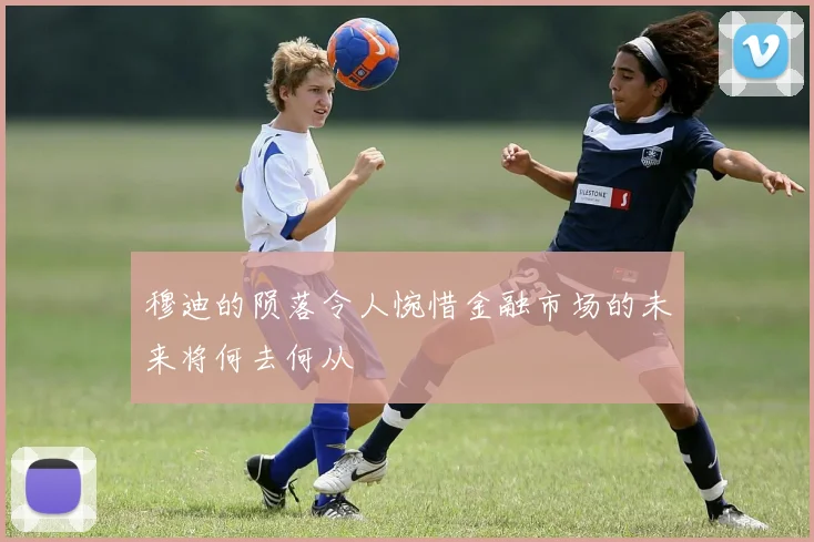 穆迪的陨落令人惋惜金融市场的未来将何去何从